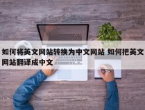 如何将英文网站转换为中文网站 如何把英文网站翻译成中文