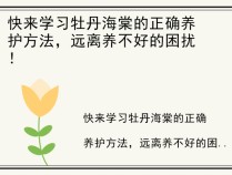快来学习牡丹海棠的正确养护方法，远离养不好的困扰！