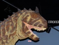 自贡恐龙博物馆门票特惠促销