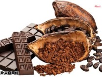 使用可可粉制作美味巧克力的简易方法