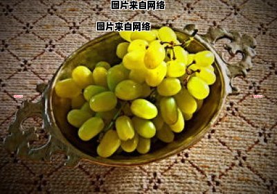 葡萄种植家助力传统品种复兴