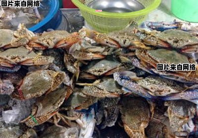 学会简单又美味的螃蟹烹饪方法 学会简单又美味的螃蟹烹饪方法图片