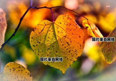 浙江梅雨季节一般出现在哪个月份？（浙江梅雨季节是什么时间）