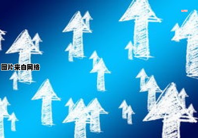 广州市经济发展研究报告（广州蓝皮书广州经济发展报告2021）