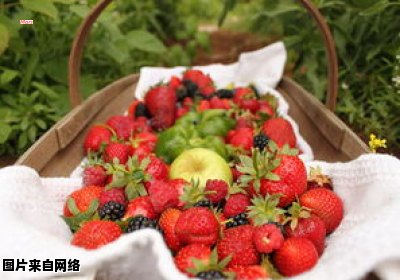 红草莓的品种有哪些？ 红草莓哪个品种好吃