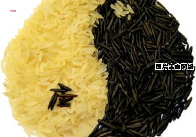 小黄米和小米的特点及作用差异