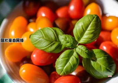 小番茄的生长方式与转基因食品有关吗？（小番茄是转基因的吗?怎么鉴别转基因小番茄）