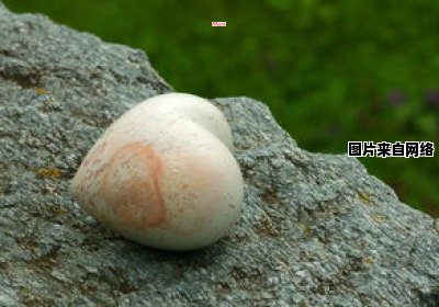 水泥珍珠岩的功能及应用领域 水泥珍珠岩的作用
