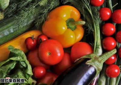 蔬菜对人体的营养贡献有哪些？