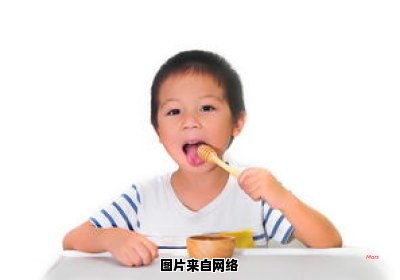 宝宝十六个月时的日常饮食计划（宝宝十六个月时的日常饮食计划怎么写）