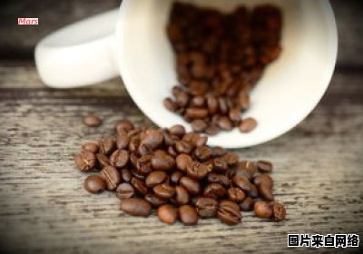 咖啡豆的种类一览