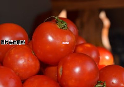 西红柿炖牛腩的烹饪技巧与口感优化（西红柿炖牛腩的家常做法）