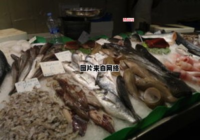广州市场的新鲜海鲜供应链（广州市场的新鲜海鲜供应链怎么样）