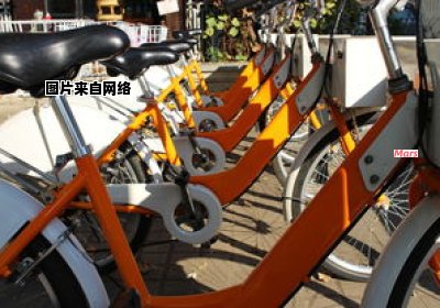 上海市有哪些共享出行方案 上海有什么共享交通工具