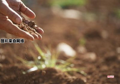 为什么拖肥被称为土壤改良剂？（为什么拖肥被称为土壤改良剂呢）