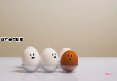鸭蛋与鸡蛋的不同之处和优势有哪些？