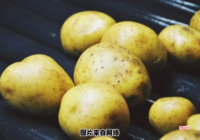 家常土豆炖笔管鱼的做法
