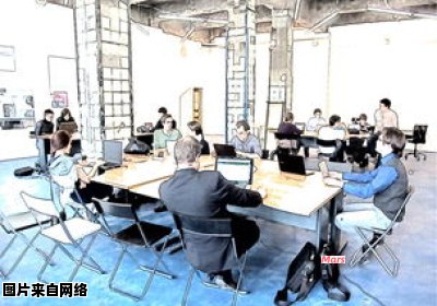 上海对外经贸大学开设的中外合作办学专业