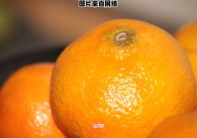 苹果橙的中文解释是什么？