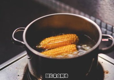 黏玉米烹饪时间需掌握多久方可品味？