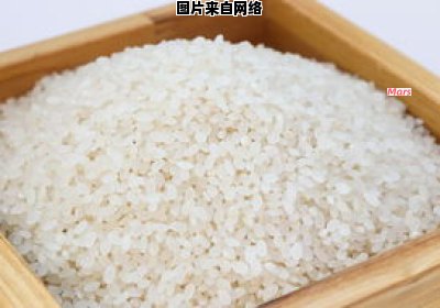 如何正确使用电饭煲进行米饭蒸煮 电饭煲蒸米饭操作方法