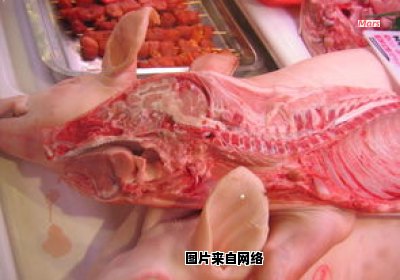 猪肉中的哪个部位被称为裙边肉？ 猪肉裙边是指哪儿
