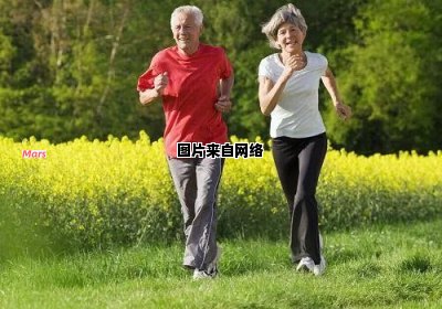 老年人适宜的运动锻炼有哪些选择？