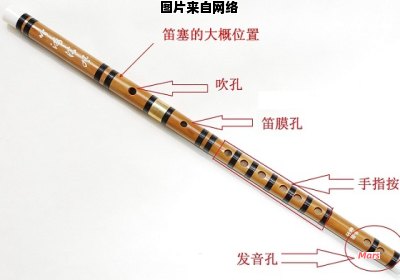 初学者购买笛子时应选择何种调音的笛子