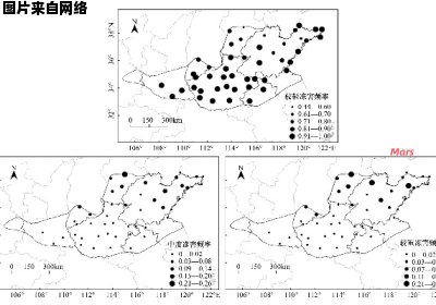 黄淮地区冬麦小麦籽粒质量调查及探究