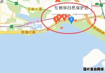 深圳红树林位于哪个地铁站？