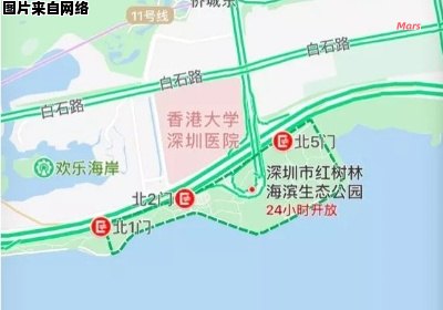 深圳红树林位于哪个地铁站？