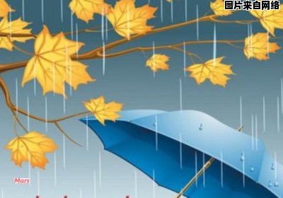 描写秋雨的特点有哪些