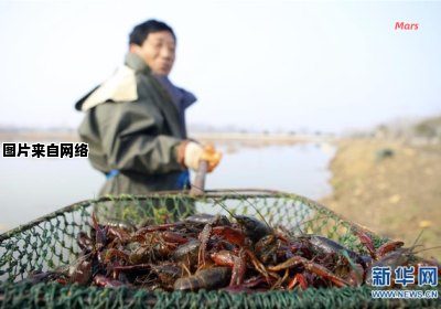小龙虾的丰收季节是哪几个月？