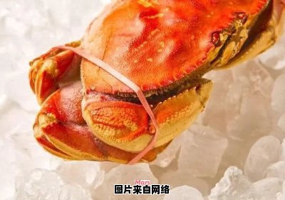 可以直接将活螃蟹冷冻吗？