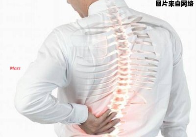 后背疼痛的原因及其部位是什么？