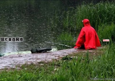 下雨天如何运用钓鱼技巧，完善您的钓鱼经验