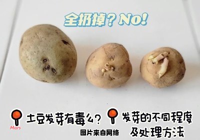 土豆发芽后是否还适宜食用？