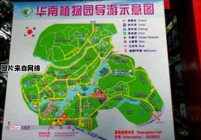 广州华南植物园的交通指南