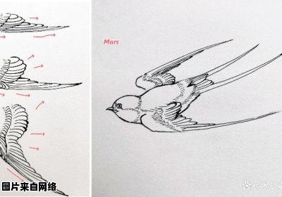 学习如何用简笔画描绘“泥融飞燕子”的技巧