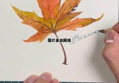 画一幅简单的秋天枫叶画