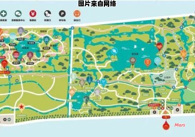 奉贤海湾森林公园游玩指南