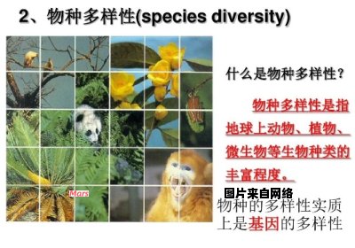 生物特征辨识方法的多样性