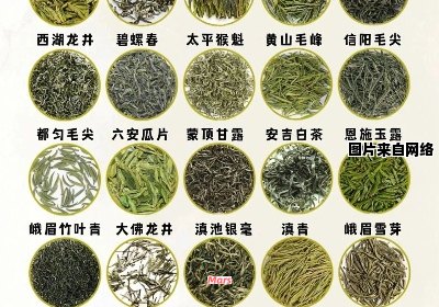 绿茶的多种品种及其益处