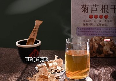 菊苣根茶的益处与功效