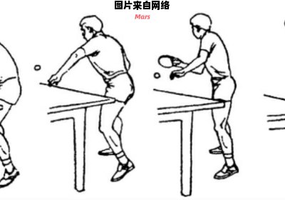 乒乓球运动的基本动作技巧