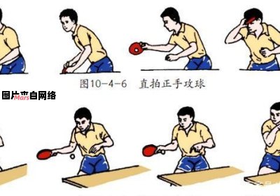 乒乓球运动的基本动作技巧