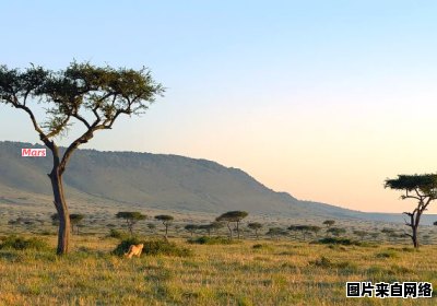 非洲大草原的面积有多么广阔？