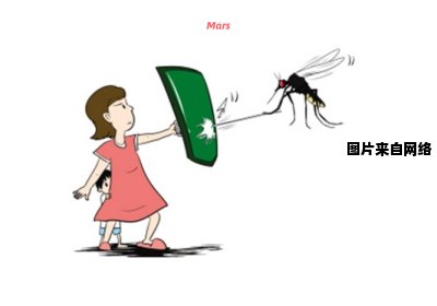 醋真的能够有效驱赶蚊子吗？