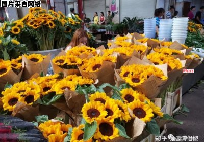 昆明的鲜花市场游客集散中心是否值得一游？