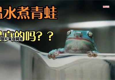蛙在温水中煮是指什么？